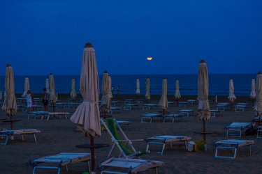 Evening at the beach